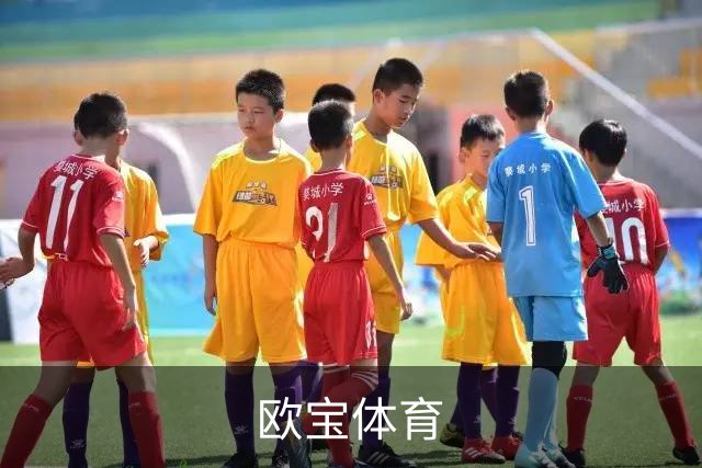 欧宝体育公司简介